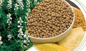 Image result for Lupinen