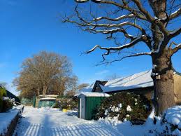 Image result for Barnet Bowls Club