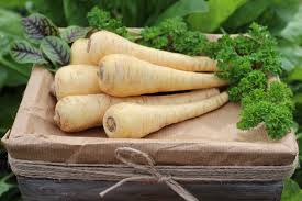 Image result for Pastinake