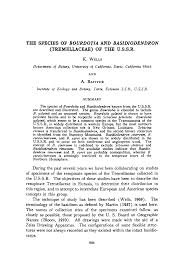 Attēlu rezultāti vaicājumam “Basidiodendron”