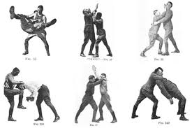 Image result for 210 JiuJitsu