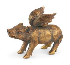 Image result for flying pigs