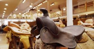 Image result for Kings Ranch Riding School/Club