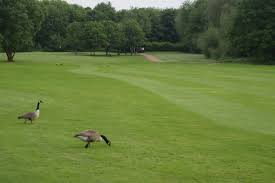 Image result for Chorlton Cum Hardy Golf Club