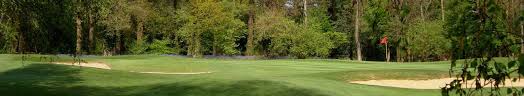 Image result for Harpenden Common Golf Club