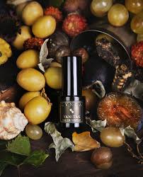 Image result for Vanitas