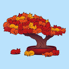 Kuvahaun tulos haulle bonsaikitten