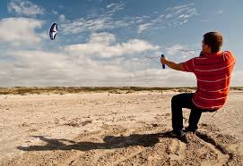 Image result for Baiter Power Kite