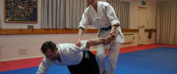 Image result for Coldharbour Aikido Club