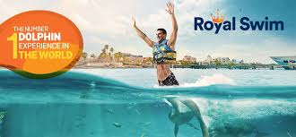 Image result for Discover Swimming