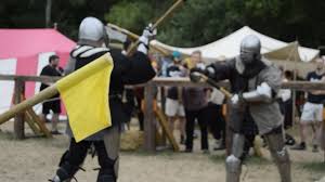 Image result for Invicta Knights