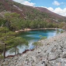Image result for Abernethy Bowling Club