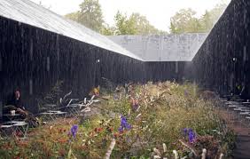 Image result for Piet Oudolf