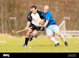 Image result for Lovat Shinty Club