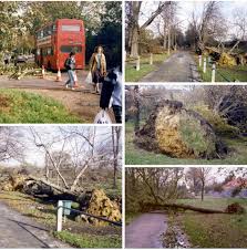 Image result for Sleeping Storm, Epsom