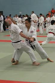 Image result for Epsom & Ewell Karate Club