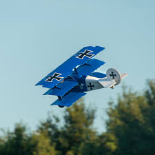 Attēlu rezultāti vaicājumam “Triplax aenea”