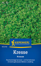 Image result for Gartenkresse