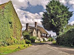 Image result for North Dorset