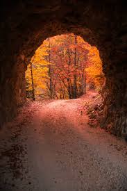 Image result for vallorbe tehron