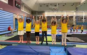 Image result for Blandford Forum Gymnastics & Kanga Club