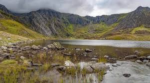 Image result for Wey Valley Disabled Angling Association