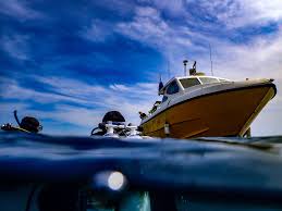 Image result for Plymouth Aquanauts