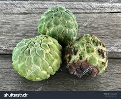 Attēlu rezultāti vaicājumam “Anemone sylvestris fruit”