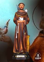 Image result for foto são francisco