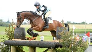 Image result for Jp-Sheffield Eventing