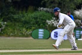 Image result for Bashley (Rydal) Cricket Club