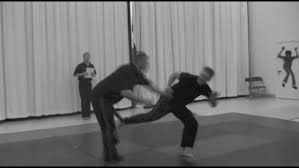 Image result for Total Body Defence Goshinkwai