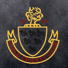 Image result for Ifield Cricket Club