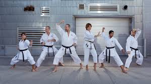 Image result for Shotokan Karate