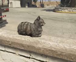 images?q=tbn:ANd9GcSGhTaU0JVPog_gHYZf_mi