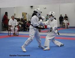 Image result for TopKick Martial Arts Center Leesburg