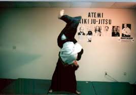 Image result for Goshin Ryu Atemi JuJitsu