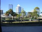Riverview, FL : View of Downtown Tampa, December photo, picture ...