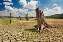 Do You Feel DRY? | Denton Bible Student Ministries