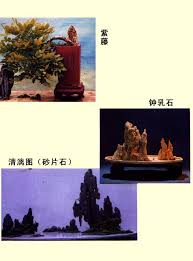 Image result for 艰苦阅历 孔泰初