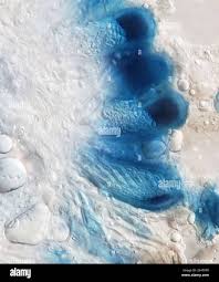 Attēlu rezultāti vaicājumam “Scoliciosporum chlorococcum”