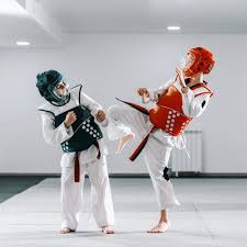 Image result for Quest Taekwondo