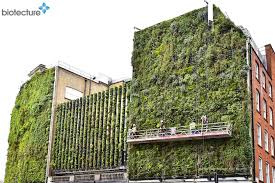 Image result for living wall