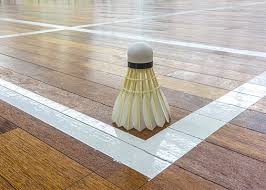 Image result for Appledore Badminton Club