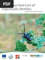 Attēlu rezultāti vaicājumam “Ceruchus chrysomelinus imago”