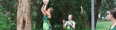 Image result for Hn Ladies Netball Club