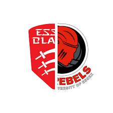Image result for Essex Blades