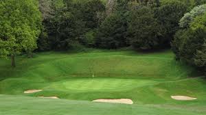 Image result for Central London Golf Club