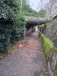 Image result for Dereham Bowlers Club