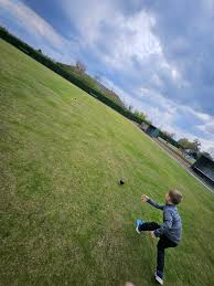 Image result for Royston Bowling Club